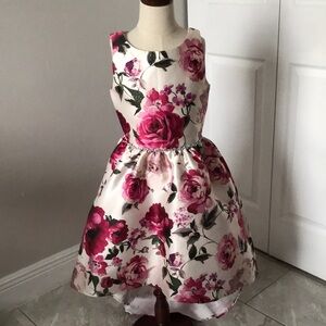 RARE EDITIONS Girls Flowers Sprinkles Hi-Low Flare Special Occasions Dre…